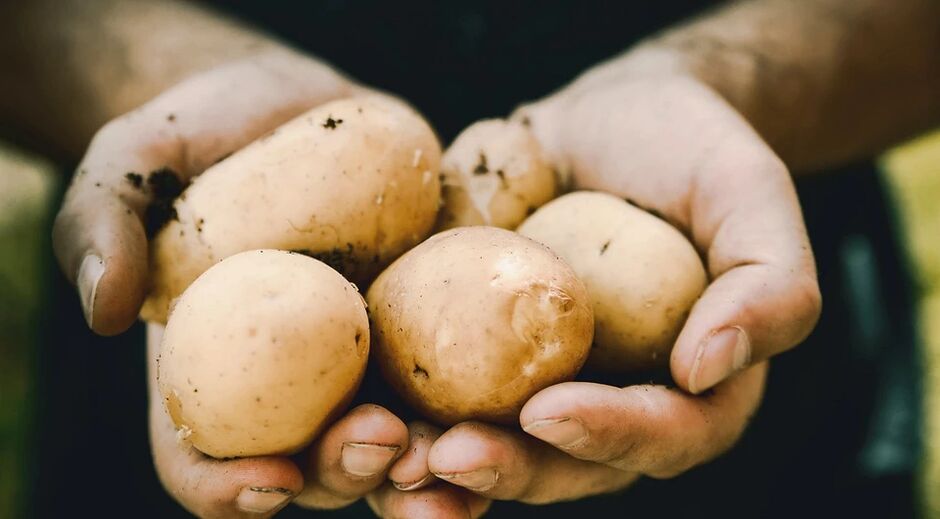 Картофите имат положителен ефект върху здравето на мъжете